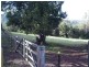 Lot 16 Bains Road, Currumbin Valley QLD 4223