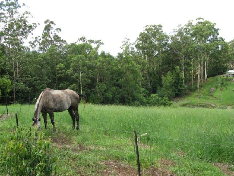 Lot 16 Bains Road, Currumbin Valley QLD 4223