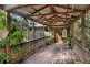 Tugun QLD 4224