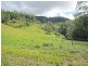 1488 Currumbin Creek Road, Currumbin Valley QLD 4223
