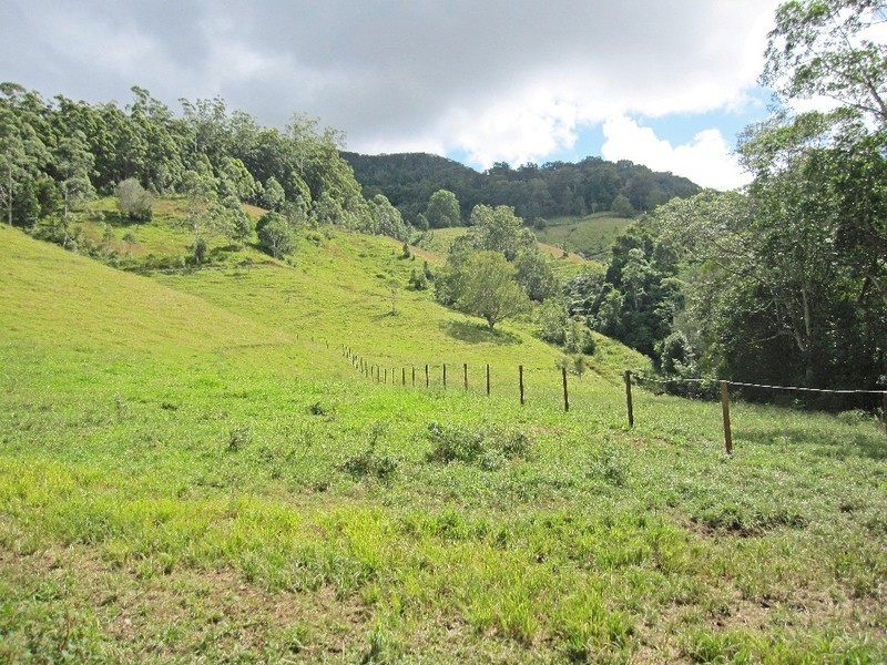 1488 Currumbin Creek Road, Currumbin Valley QLD 4223