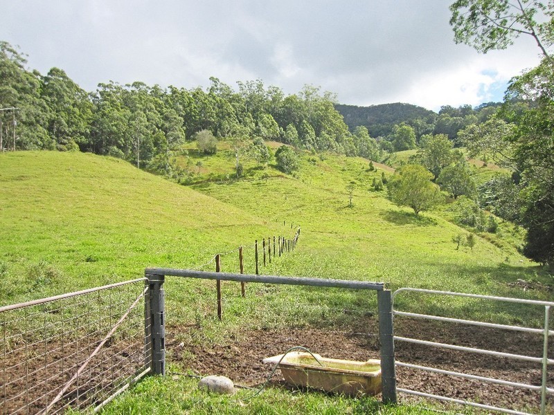 1488 Currumbin Creek Road, Currumbin Valley QLD 4223