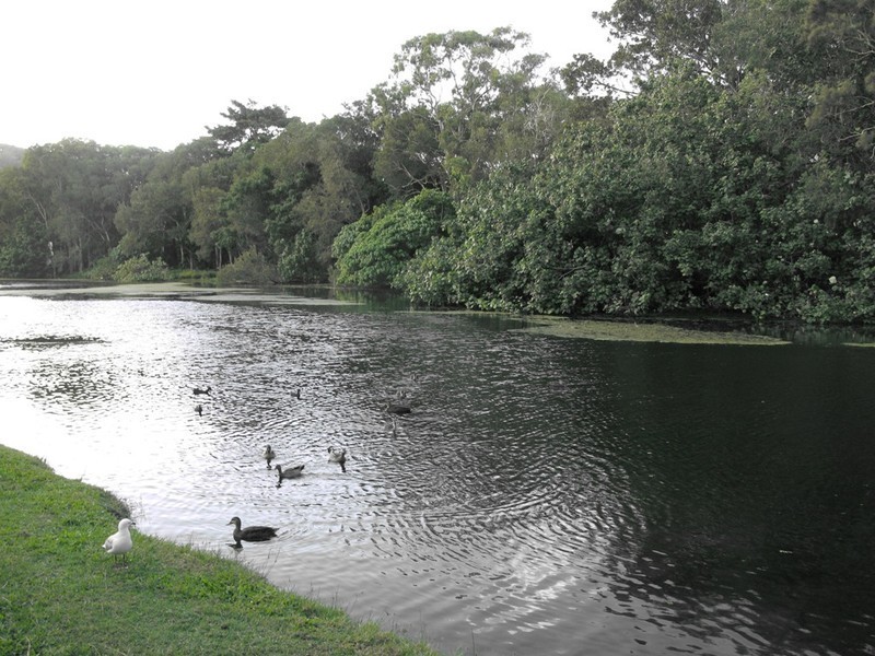 2/543 Gold Coast Highway, Tugun QLD 4224