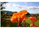 603 Tomewin Mountain Road, Currumbin Valley QLD 4223