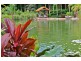 603 Tomewin Mountain Road, Currumbin Valley QLD 4223