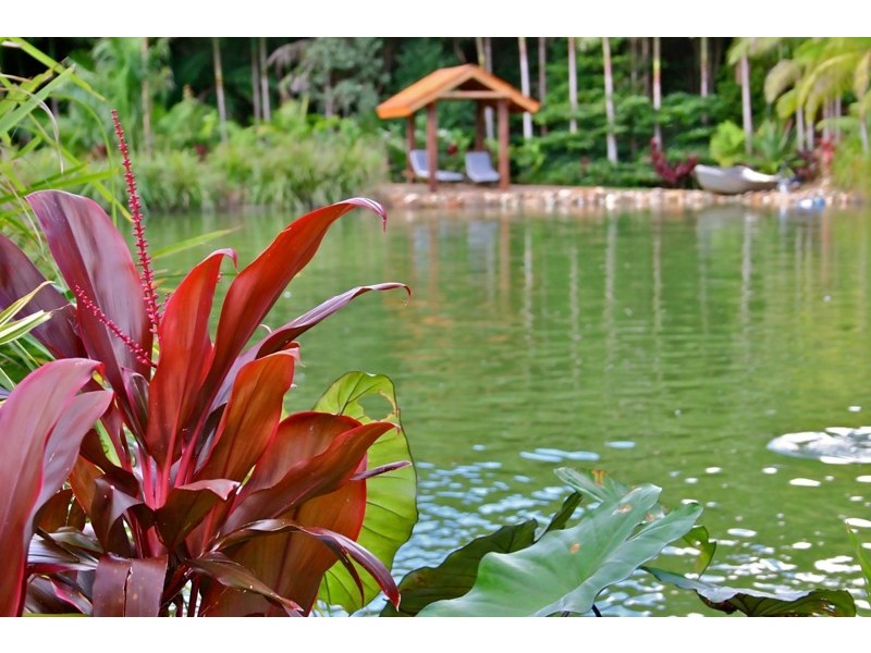 603 Tomewin Mountain Road, Currumbin Valley QLD 4223