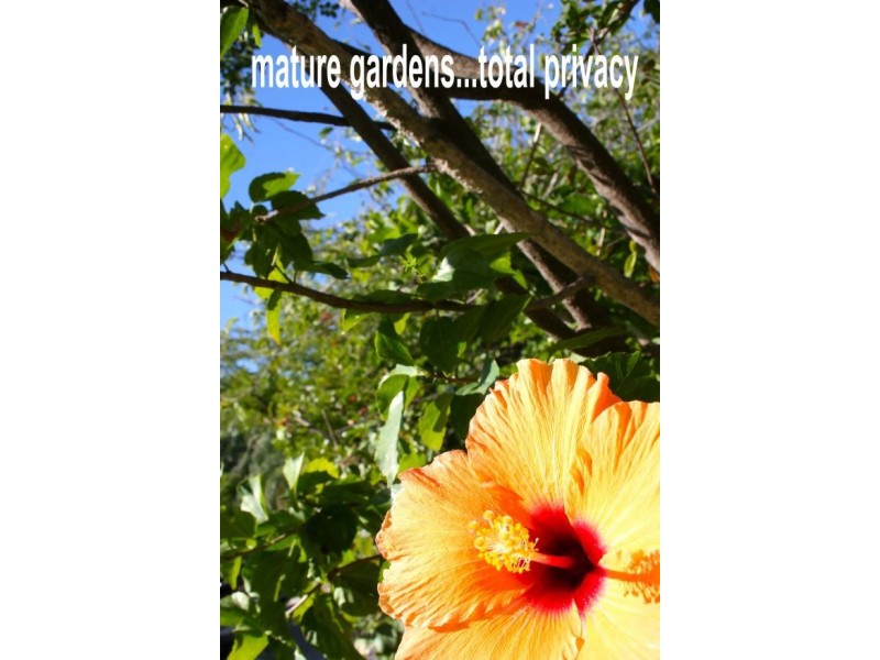 26 Esperance Close, Elanora QLD 4221