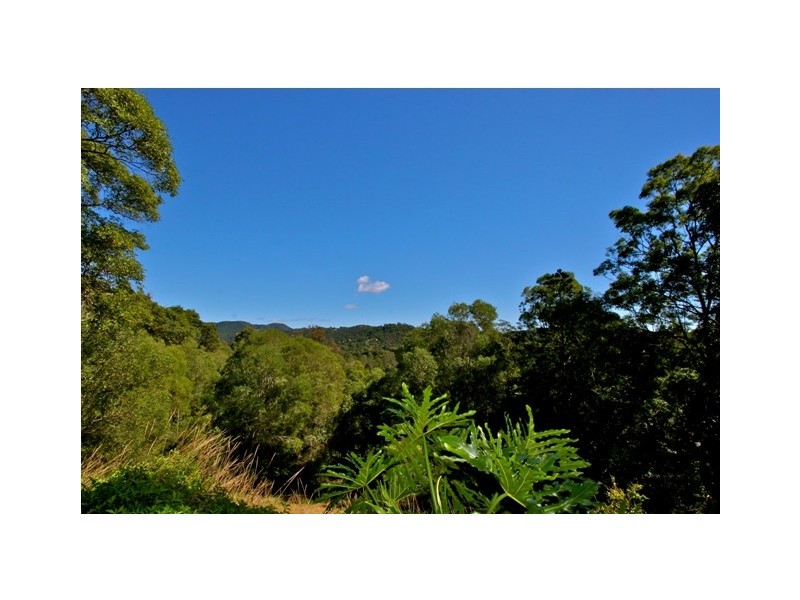 39 Bourke Lodge Drive, Currumbin Valley QLD 4223