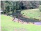 1481 Currumbin Creek Road, Currumbin Valley QLD 4223