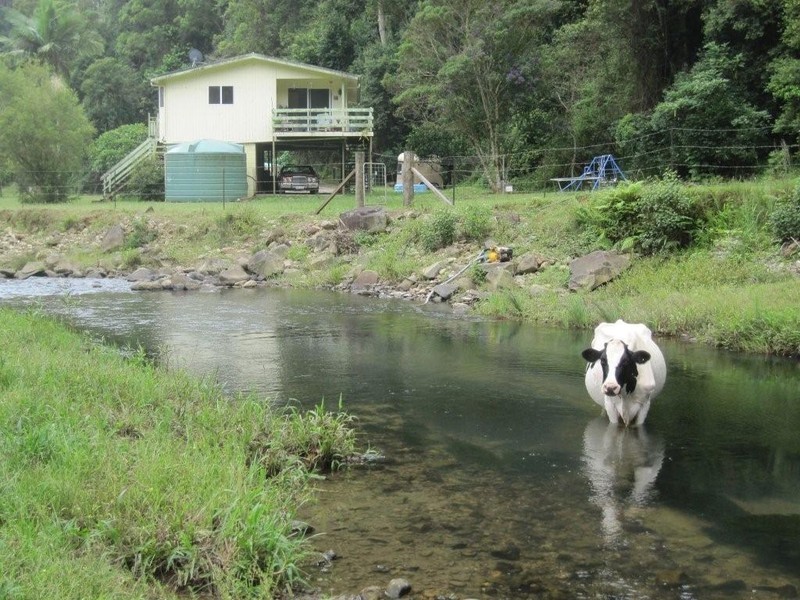 1481 Currumbin Creek Road, Currumbin Valley QLD 4223