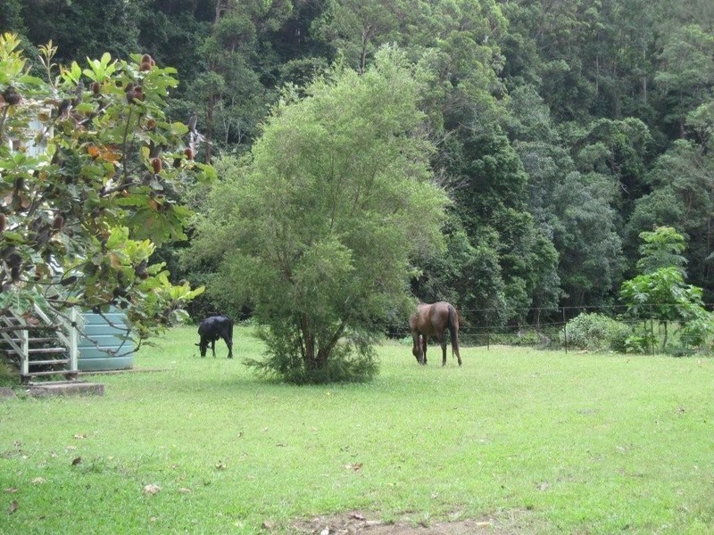 1481 Currumbin Creek Road, Currumbin Valley QLD 4223