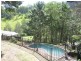 1481 Currumbin Creek Road, Currumbin Valley QLD 4223