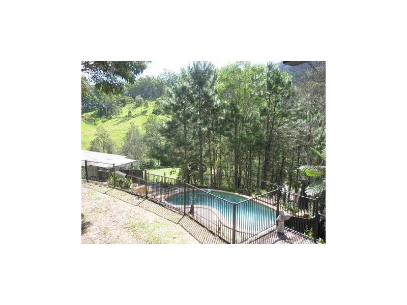 1481 Currumbin Creek Road, Currumbin Valley QLD 4223