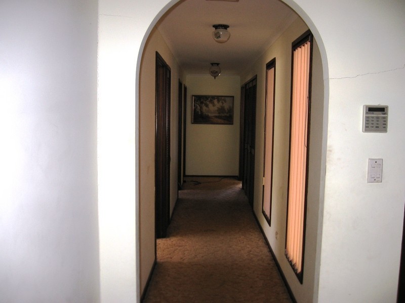 55 Fifteenth Avenue, Palm Beach QLD 4221