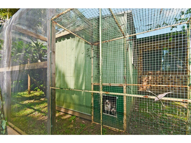 1186 Currumbin Creek Road, Currumbin Valley QLD 4223