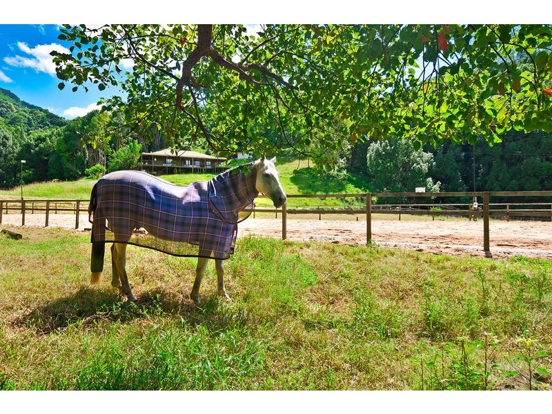 1186 Currumbin Creek Road, Currumbin Valley QLD 4223