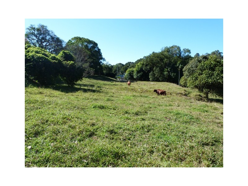 Currumbin Valley QLD 4223