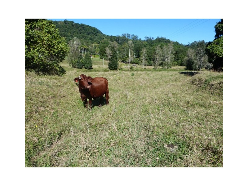 Currumbin Valley QLD 4223