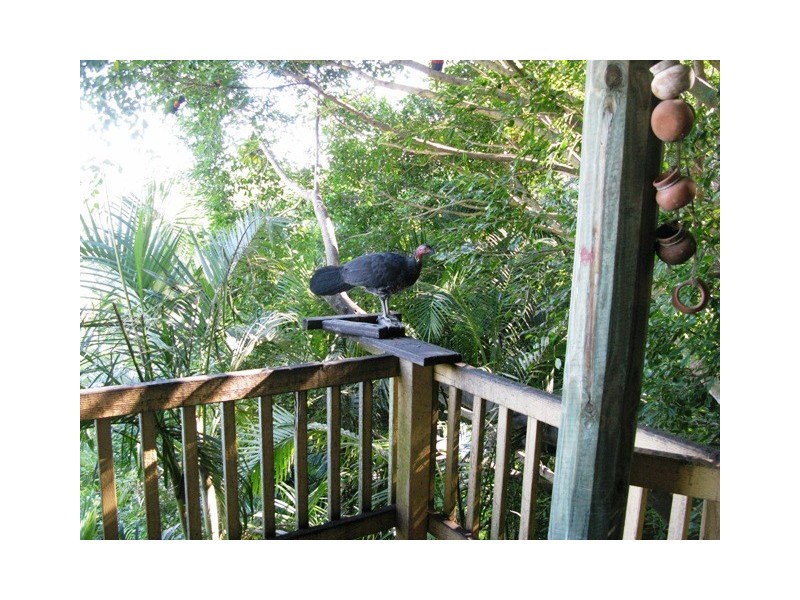 9 Doubleview Drive, Elanora QLD 4221