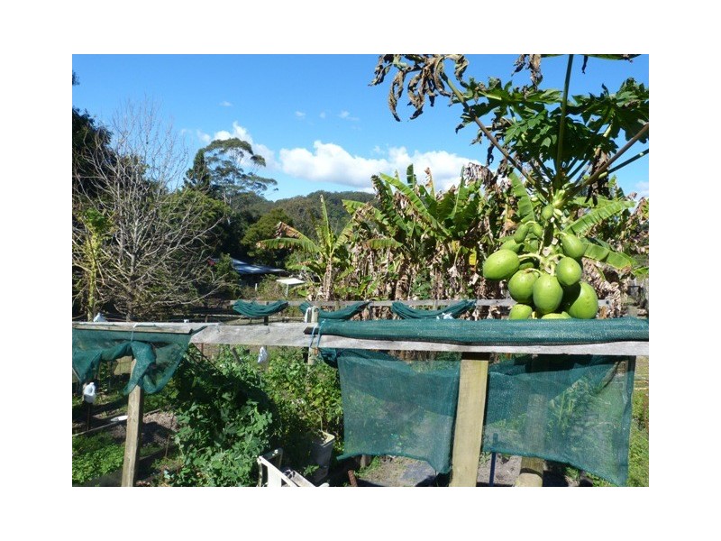 28 Bradman Drive, Currumbin Valley QLD 4223