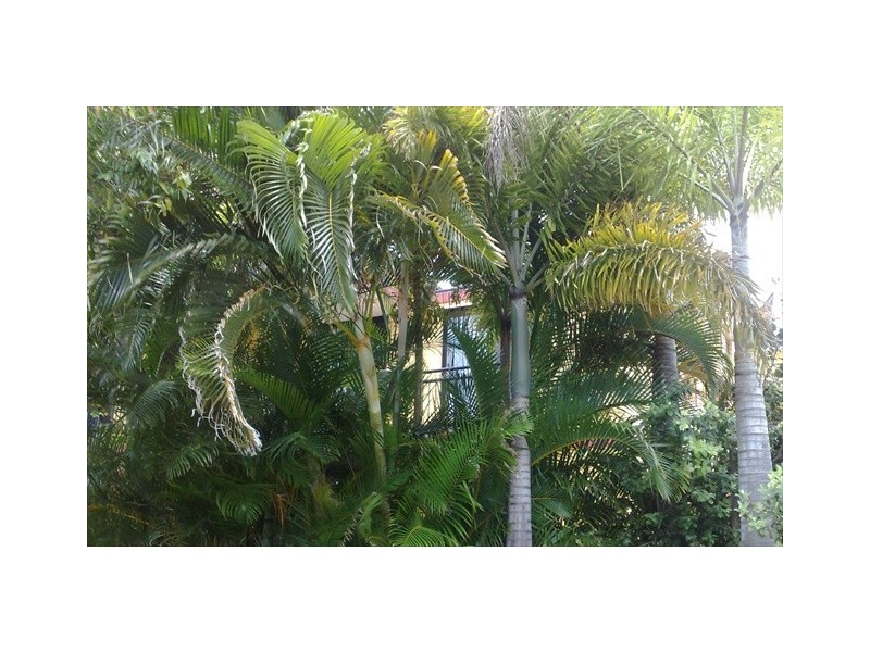 Labrador QLD 4215