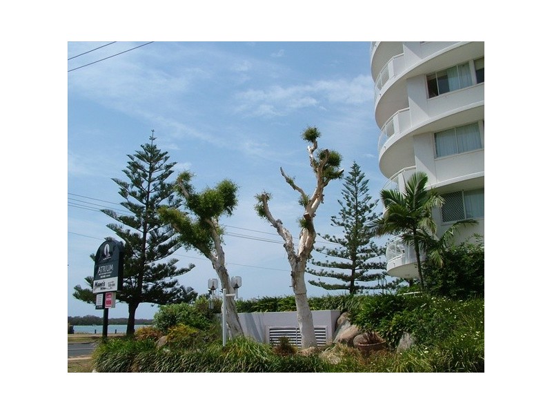 510 MARINE PARADE, Biggera Waters QLD 4216