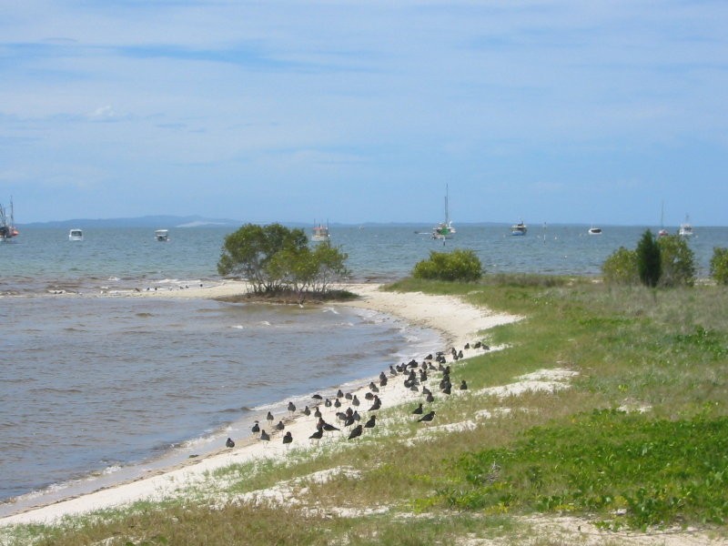 3 Norfolk, Dunwich QLD 4183