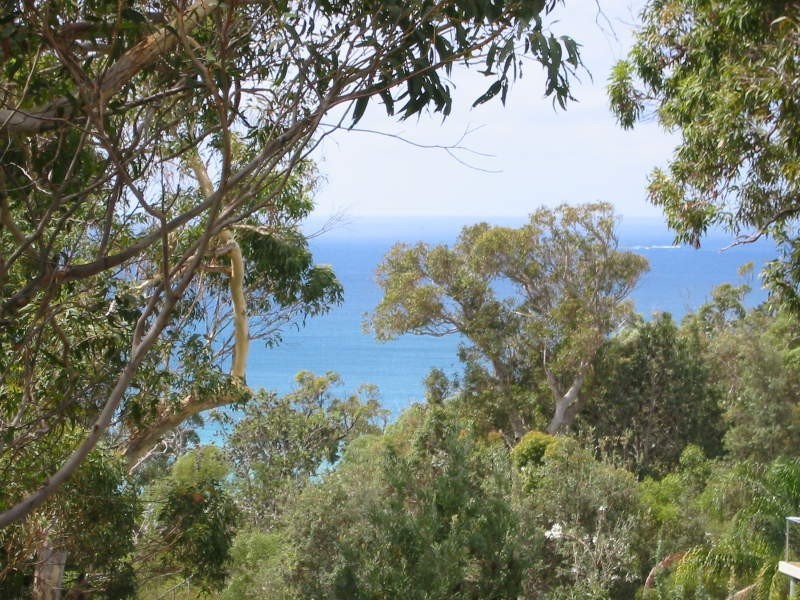 8 Donohue, Point Lookout QLD 4183