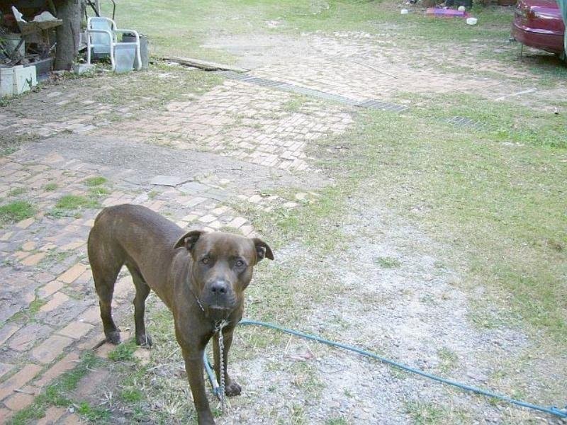 51A Railway Parade, Norman Park QLD 4170