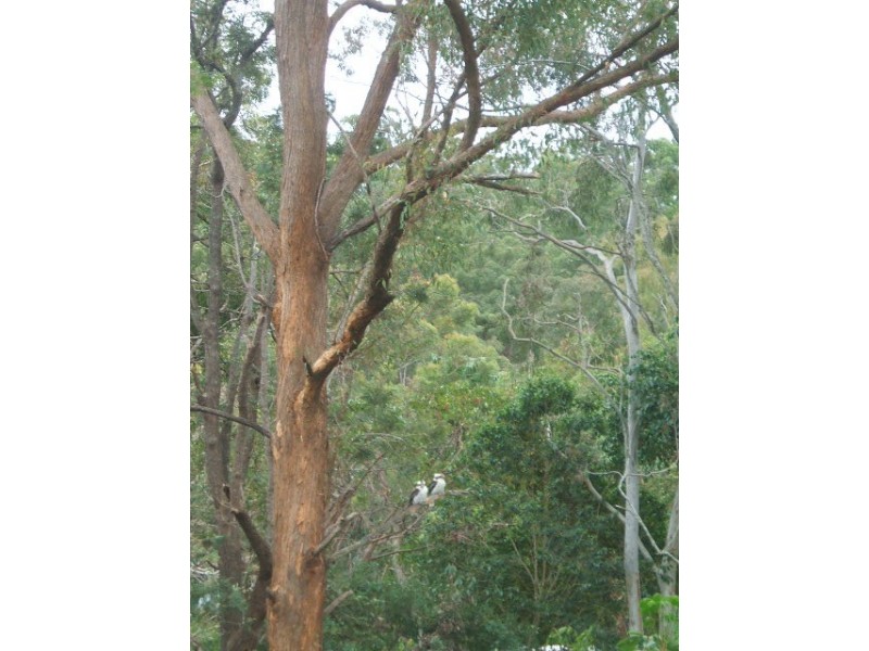 45 Outlook Crescent, Bardon QLD 4065