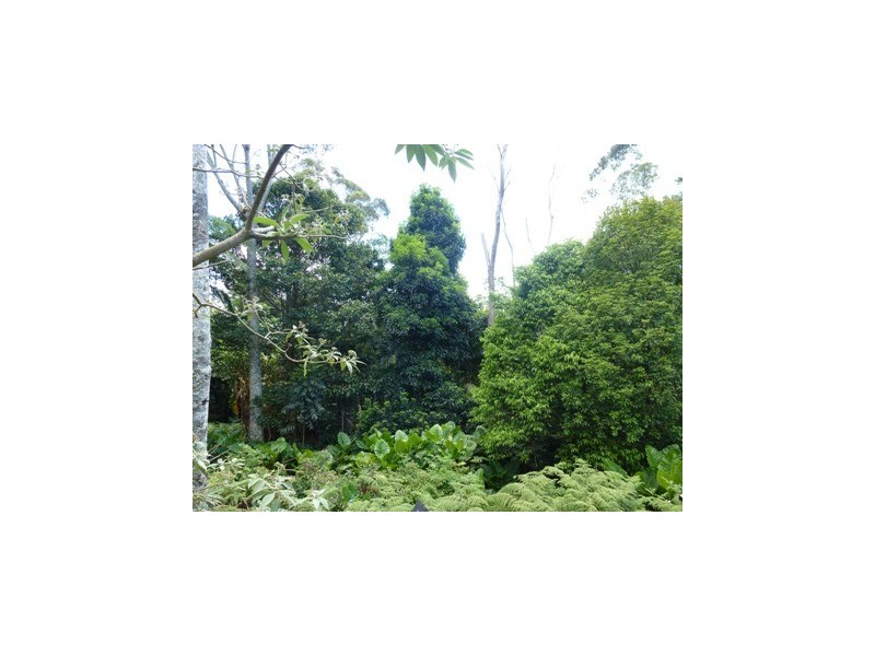 47 Alex Road, Mount Glorious QLD 4520