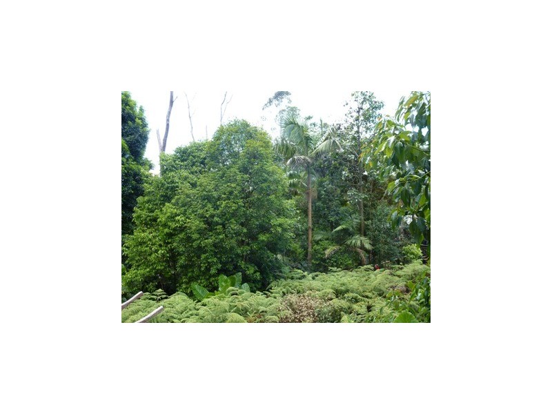 47 Alex Road, Mount Glorious QLD 4520