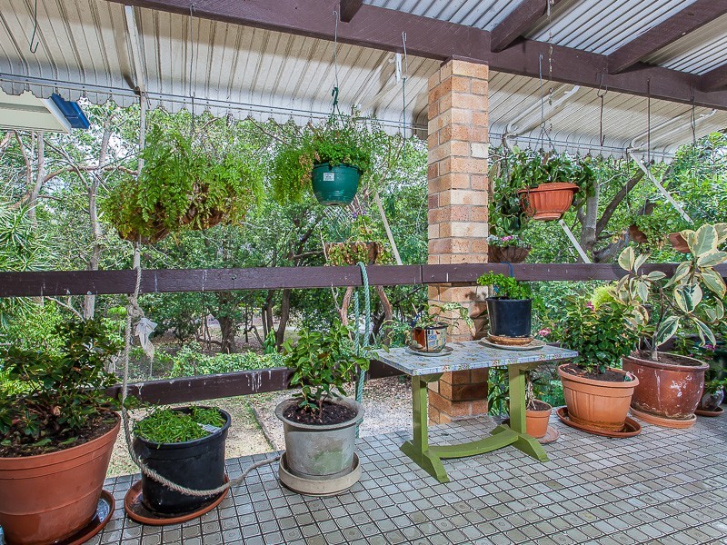 50 Cecil Road, Bardon QLD 4065