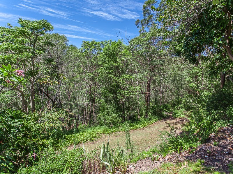 113 Outlook Crescent, Bardon QLD 4065