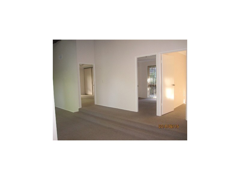 33 Burrumbuck Street, Chapel Hill QLD 4069