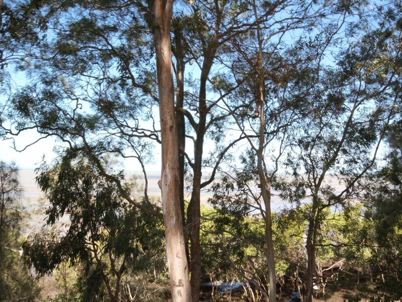 10 Seymour St, Deception Bay QLD 4508