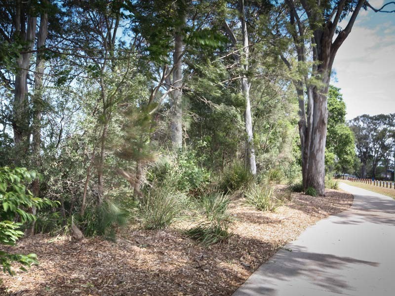 10 Seymour St, Deception Bay QLD 4508