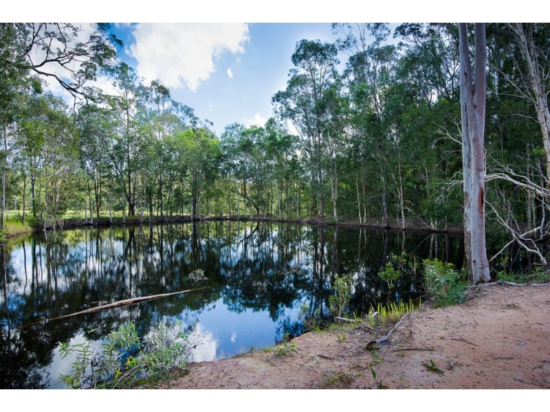 234 Palomino Rd, Tamborine QLD 4270