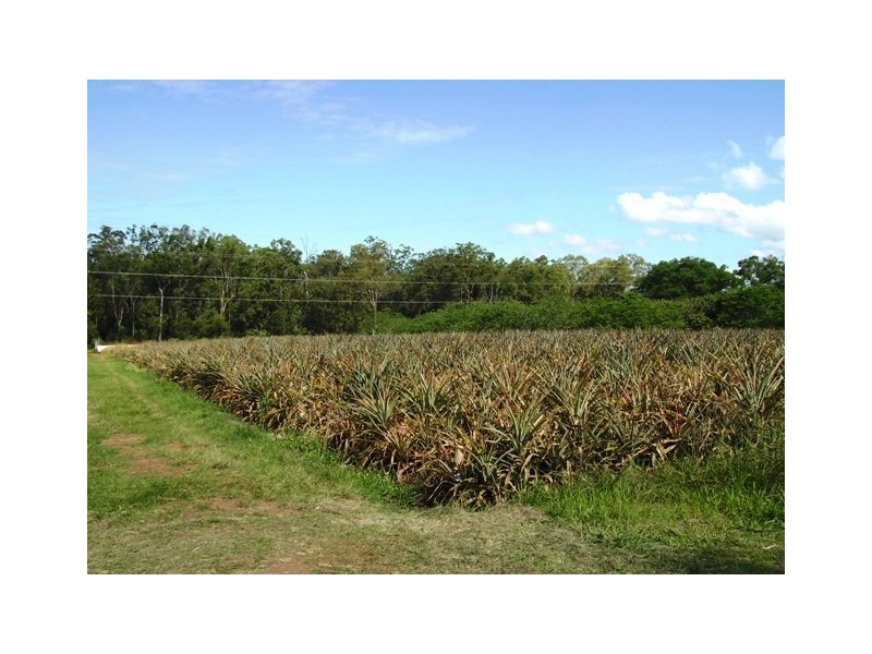 Upper Caboolture QLD 4510