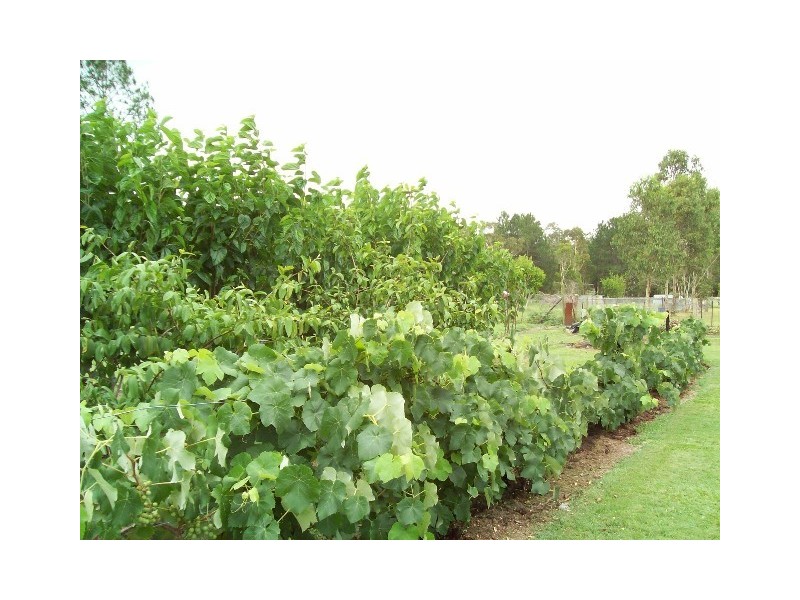Caboolture QLD 4510