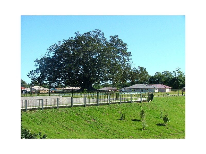 Bellmere QLD 4510