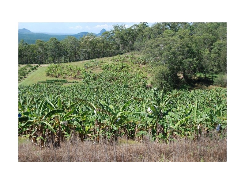 450 MCCONNELL, Wamuran QLD 4512