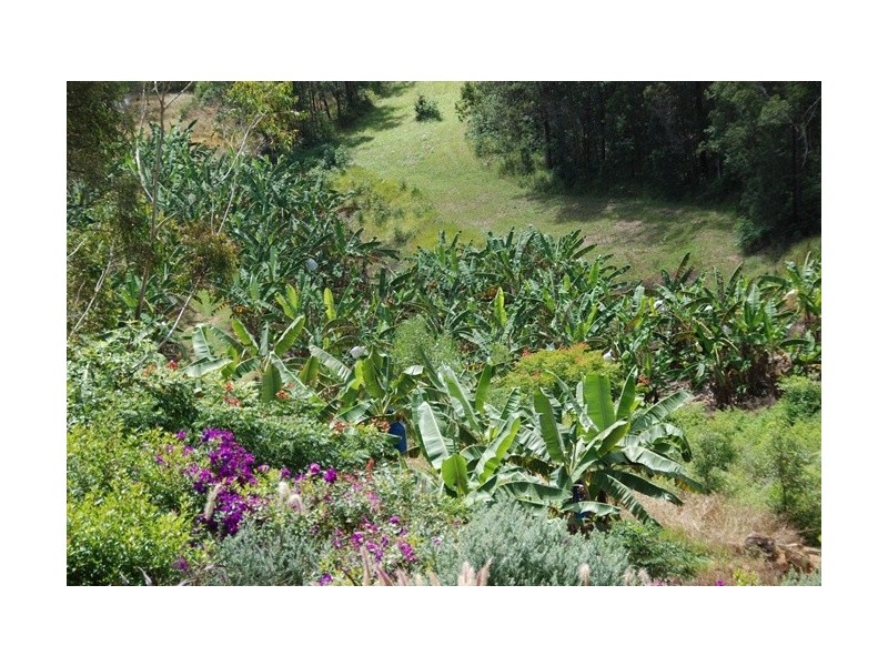 450 MCCONNELL, Wamuran QLD 4512