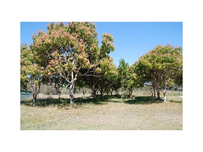 31 Conifer Road, Morayfield QLD 4506