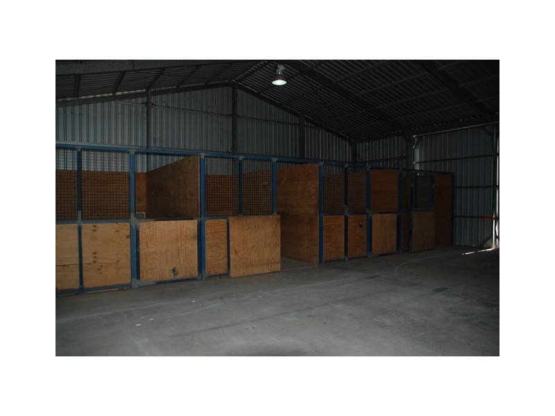 31 Conifer Road, Morayfield QLD 4506