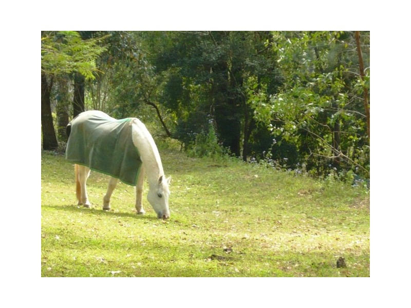 Wamuran QLD 4512