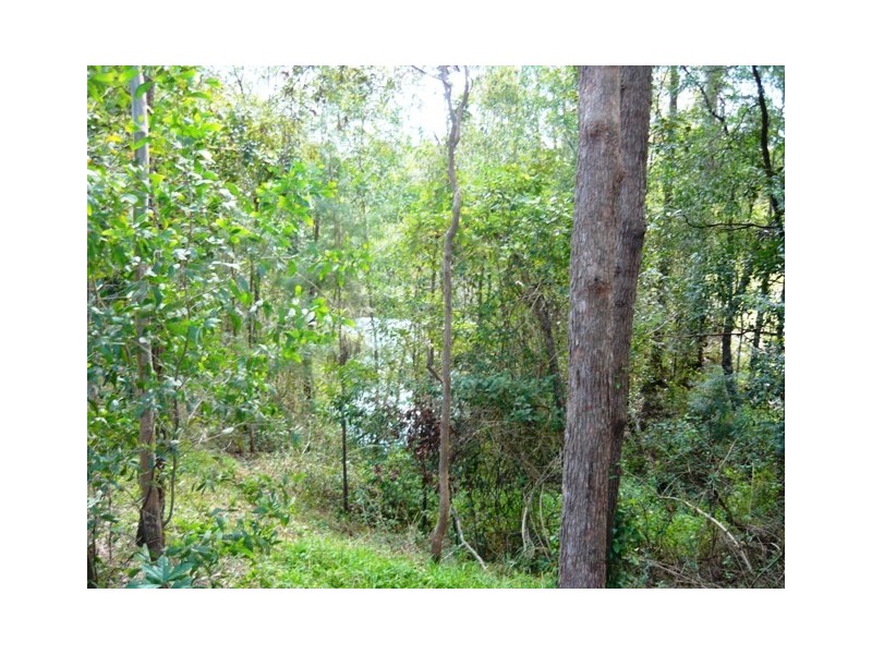 Wamuran QLD 4512