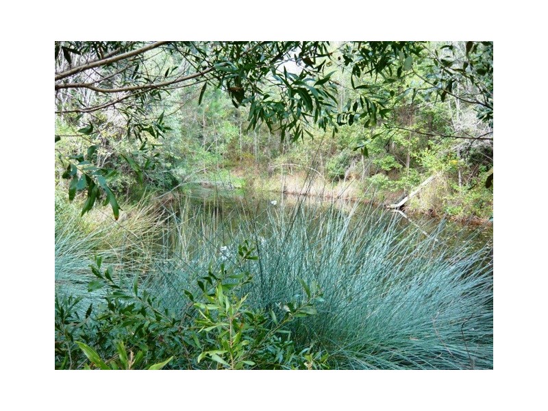 Wamuran QLD 4512