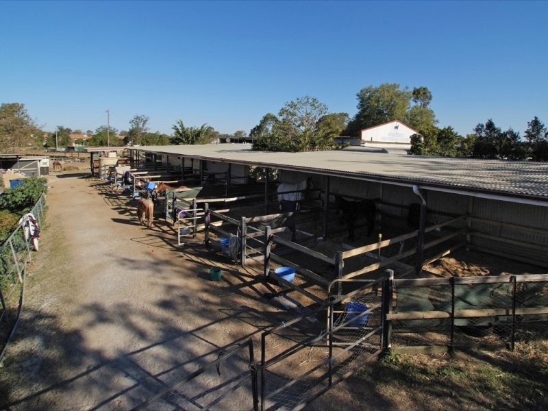 42A Desert Willow Way, Fitzgibbon QLD 4018