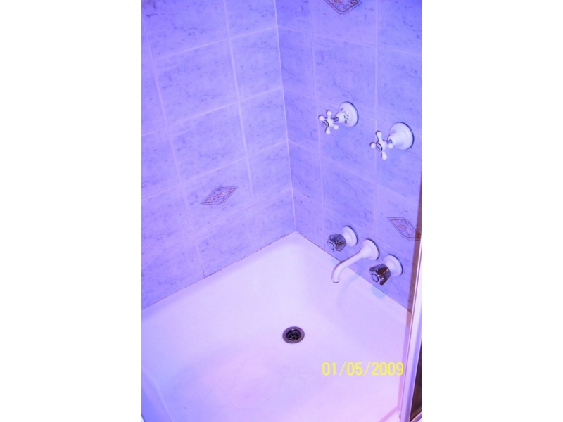 88 Barlow Street, Clayfield QLD 4011